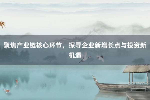 聚焦产业链核心环节,探寻企业新增长点与投资新机遇