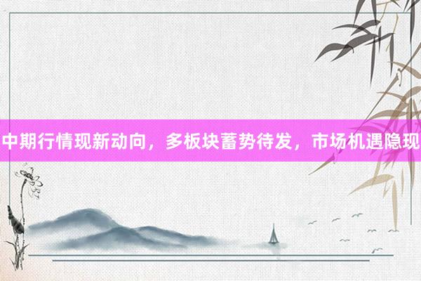 中期行情现新动向，多板块蓄势待发，市场机遇隐现