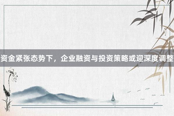 资金紧张态势下，企业融资与投资策略或迎深度调整