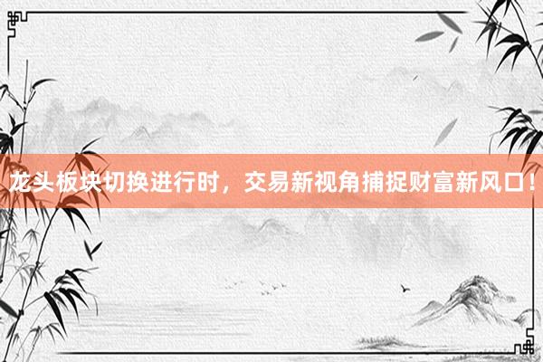 龙头板块切换进行时，交易新视角捕捉财富新风口！