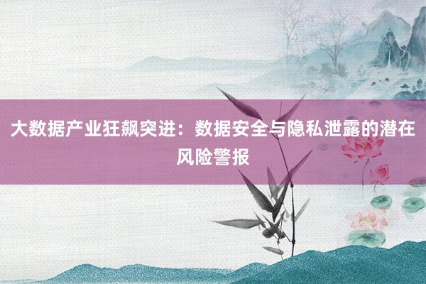 大数据产业狂飙突进：数据安全与隐私泄露的潜在风险警报