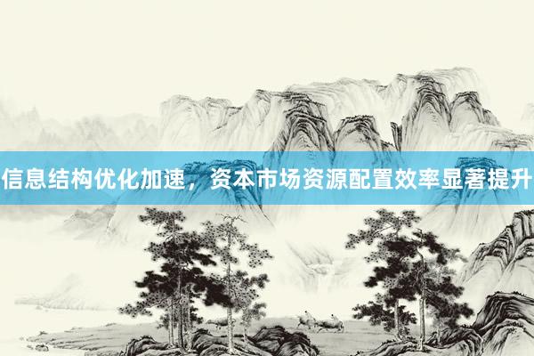 信息结构优化加速，资本市场资源配置效率显著提升