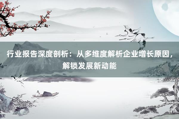 行业报告深度剖析：从多维度解析企业增长原因，解锁发展新动能
